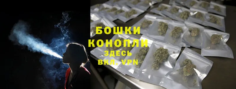 купить наркоту  Кущёвская  Бошки марихуана Ganja 